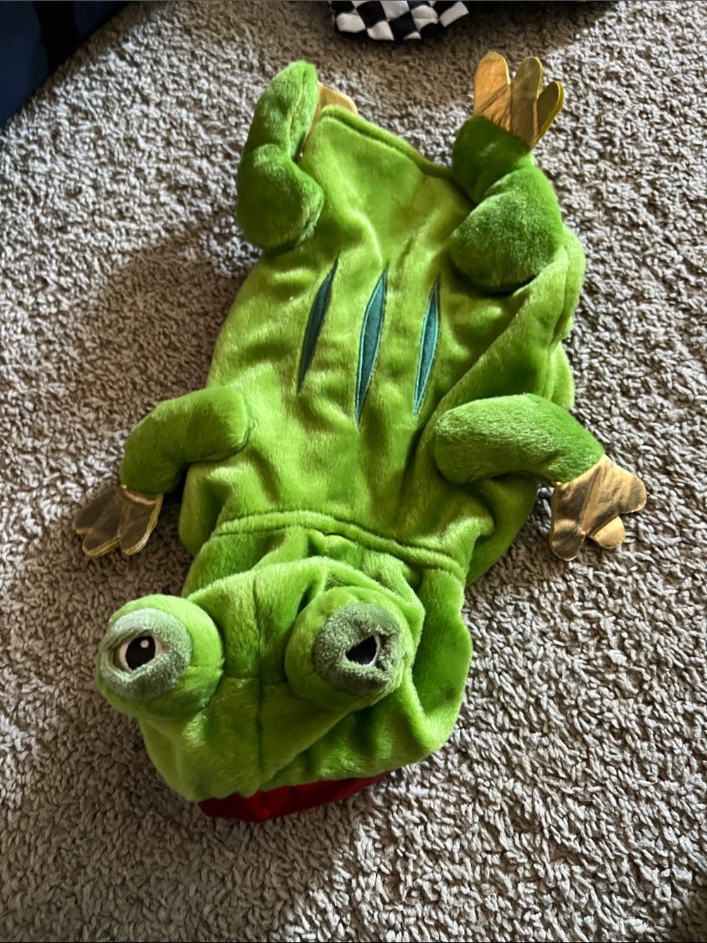 Plush Green Frog dog  Costume with Gold Accents bundle & save